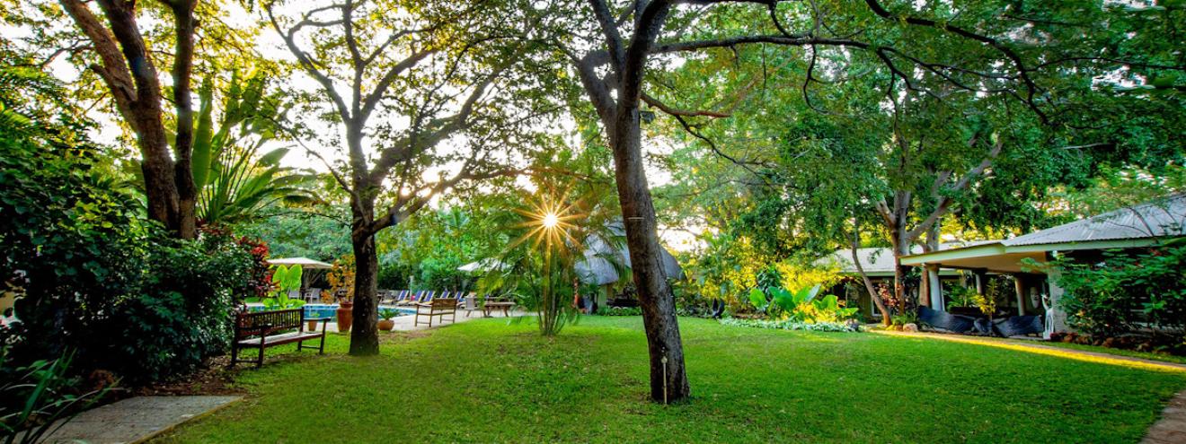 Bayete Guest Lodge 30 rooms family-run Victoria Falls residential area Zimbabwe