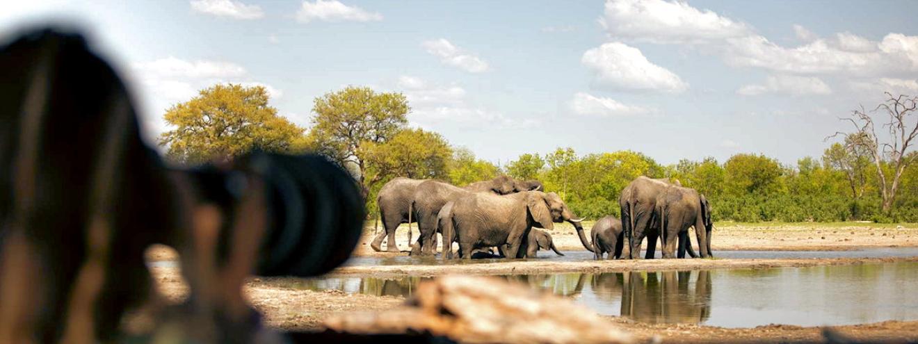 Little Makalolo Camp 6 tented suites Makalolo Plains private concession Hwange Zimbabwe