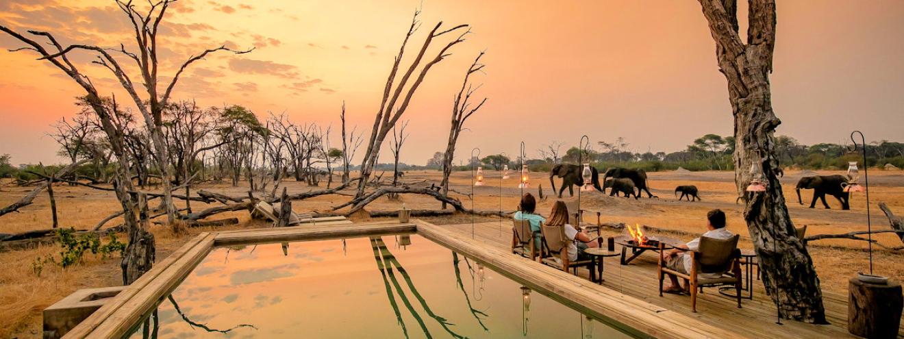 The Hide Hwange 10 luxury tented suites underground hide Dove's Nest treehouse Zimbabwe
