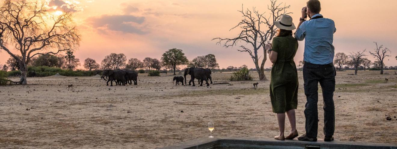 Linkwasha Camp 9 tented suites private concession Ngamo Plains Hwange Zimbabwe Wilderness