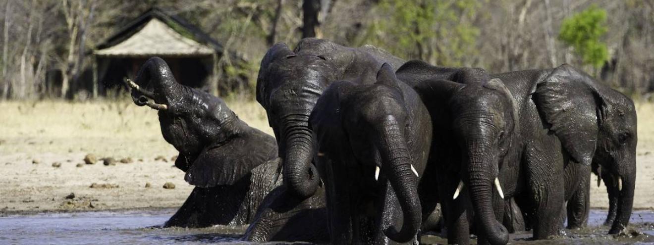 Great Zimbabwe Tour 11 days Nyanga Great Zimbabwe Ruins Matopos Hwange Victoria Falls