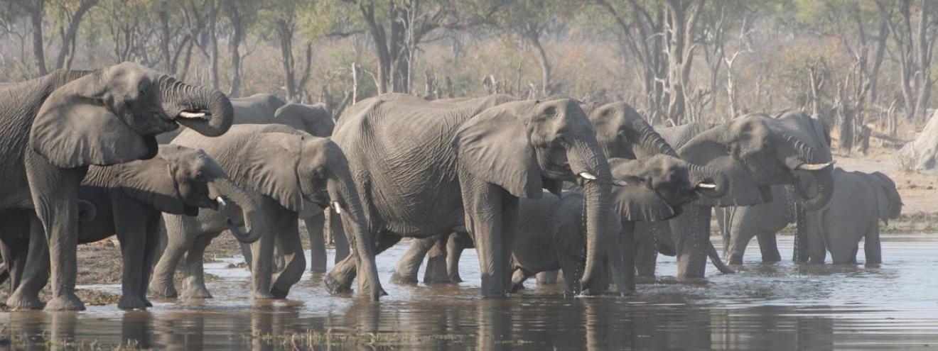 Zimbabwe Game Trail Accommodated Safari 16 days Johannesburg Kruger Zimbabwe Botswana