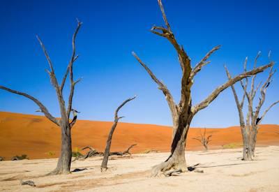 Best Namibia Attractions