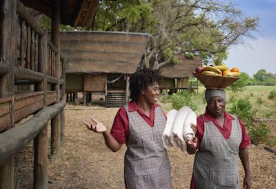 Malaria In Botswana