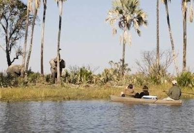 Botswana Safari Planner