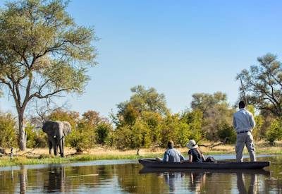 Botswana Safaris