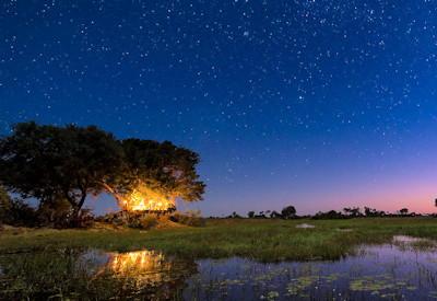 Botswana Star Beds