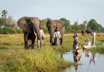 Botswana Travel