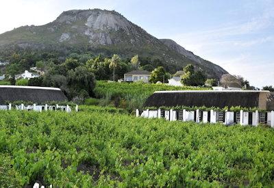 Cape Winelands Hotels
