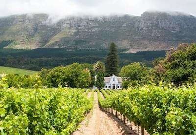 Constantia Wine Route