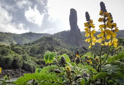 Ethiopia safari planner