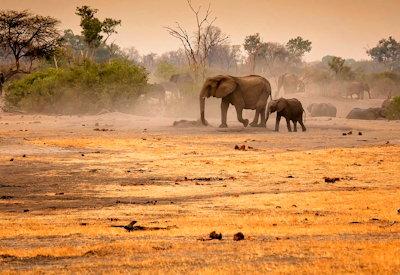 Hwange Lodges
