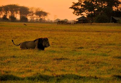 Kafue National  Park Safari Lodges