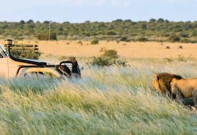 Kalahari Desert Lodges