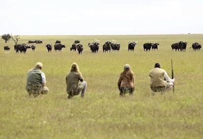 Kenya Adventure Safaris
