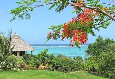 Kenya Beach and Bush Safaris