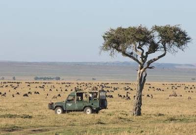 Kenya Game Reserves
