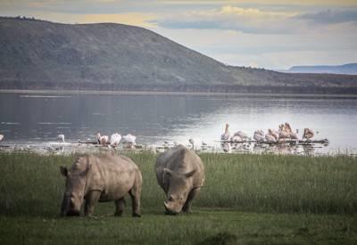 Kenya Visa Requirements