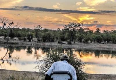 Kruger Self Drive Safaris