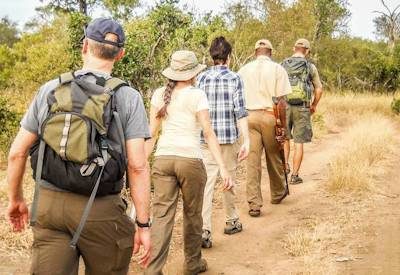 Kruger Walking Safaris