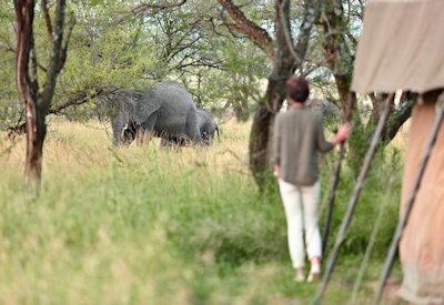 Serengeti Lodges