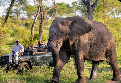 Lodges In Londolozi