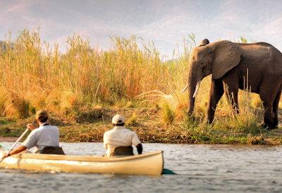 Lower Zambezi Lodges in Zambia