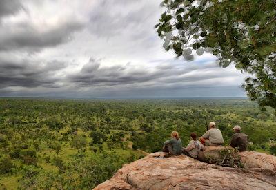 MalaMala Lodges