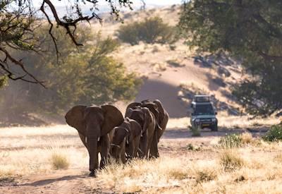 Namibia Accommodated Safaris
