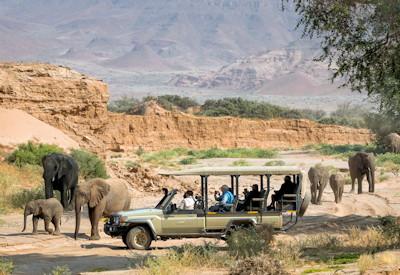 Namibia Safaris