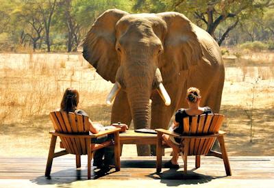 Remote Lodges In Zambia