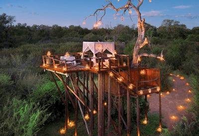 Lion Sands Ivory Lodge Star Beds