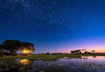 Little Tubu Tree Camp Star Beds