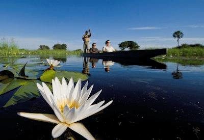 Mokoro The Okavango Delta