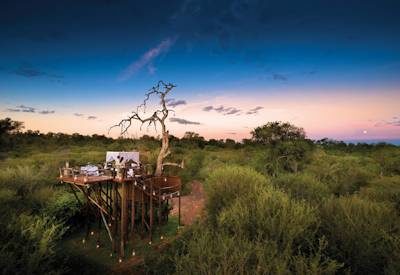 Star Beds in Africa