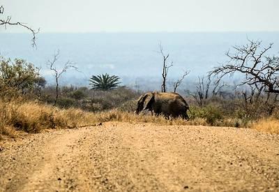 South Africa Game Reserves