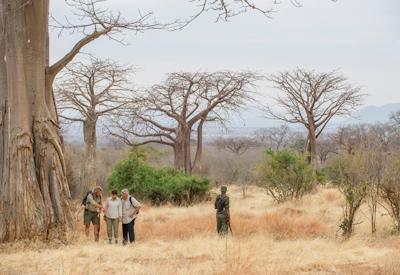 Tanzania Adventure Safaris