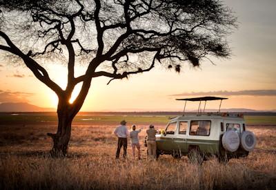 Tarangire Lodges