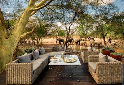 Lodges In Timbavati