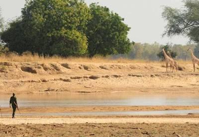 Zambia Travel