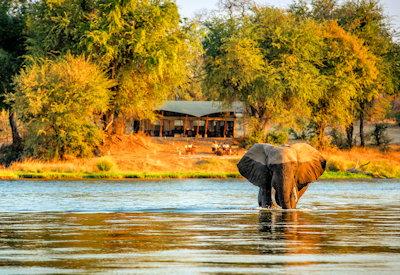 Zimbabwe lodges and safari camps