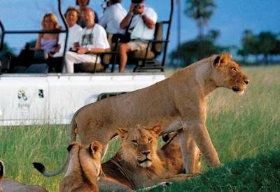 Zimbabwe Safaris