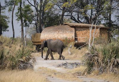 10 best lodges in Okavango Delta 2024