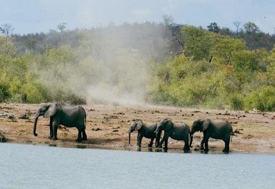 10 Best Places to Go on Safari in 2026
