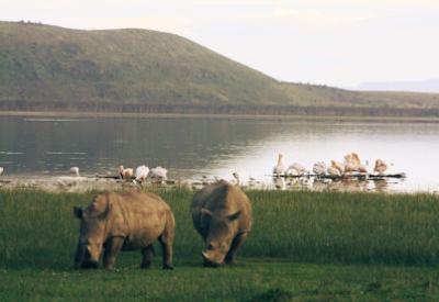 10 Must See Attractions In Kenya