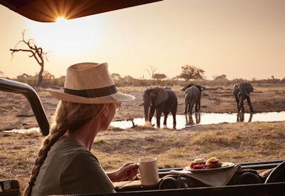 10 Reasons To Visit The Savuti