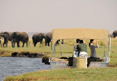 5 Best Lodges In The Chobe National Park