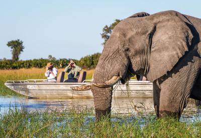 Best Botswana Safari Lodges