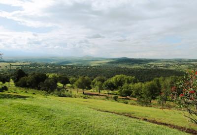 Aberdare National Park Safari