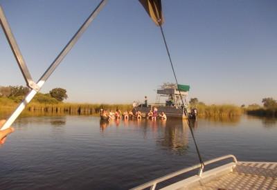 Best Botswana Safari Ever